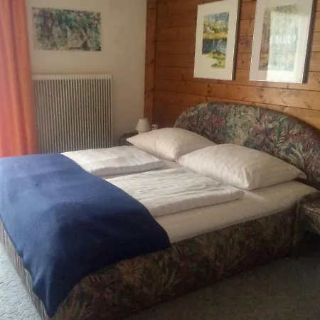 Salchegger Apartment Flachau